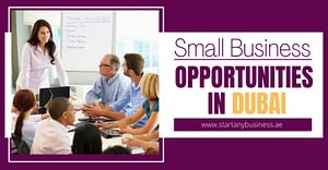 Small Business Opportunities In Dubai