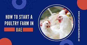 How To Start A Poultry Farm In UAE