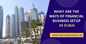 What Are The Ways Of Financial Business Setup In Dubai