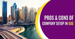 Pros And Cons Of Company Setup In UAE