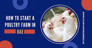 How To Start A Poultry Farm In UAE