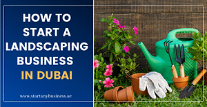 How To Start a Landscaping Business in Dubai