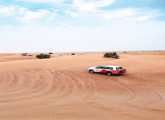Dubai Desert Conservation Reserve 