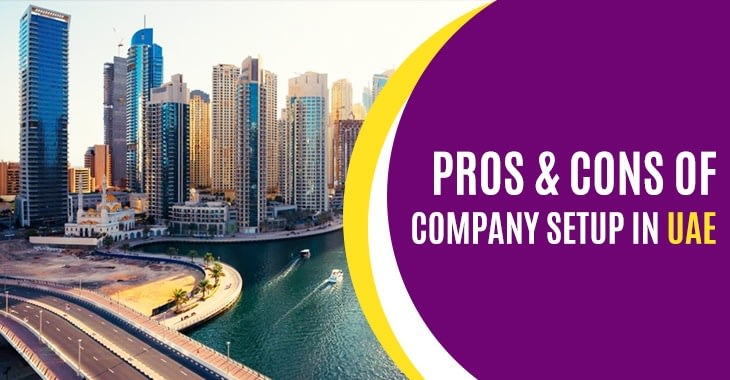 Pros And Cons Of Company Setup In UAE | Start Any Business